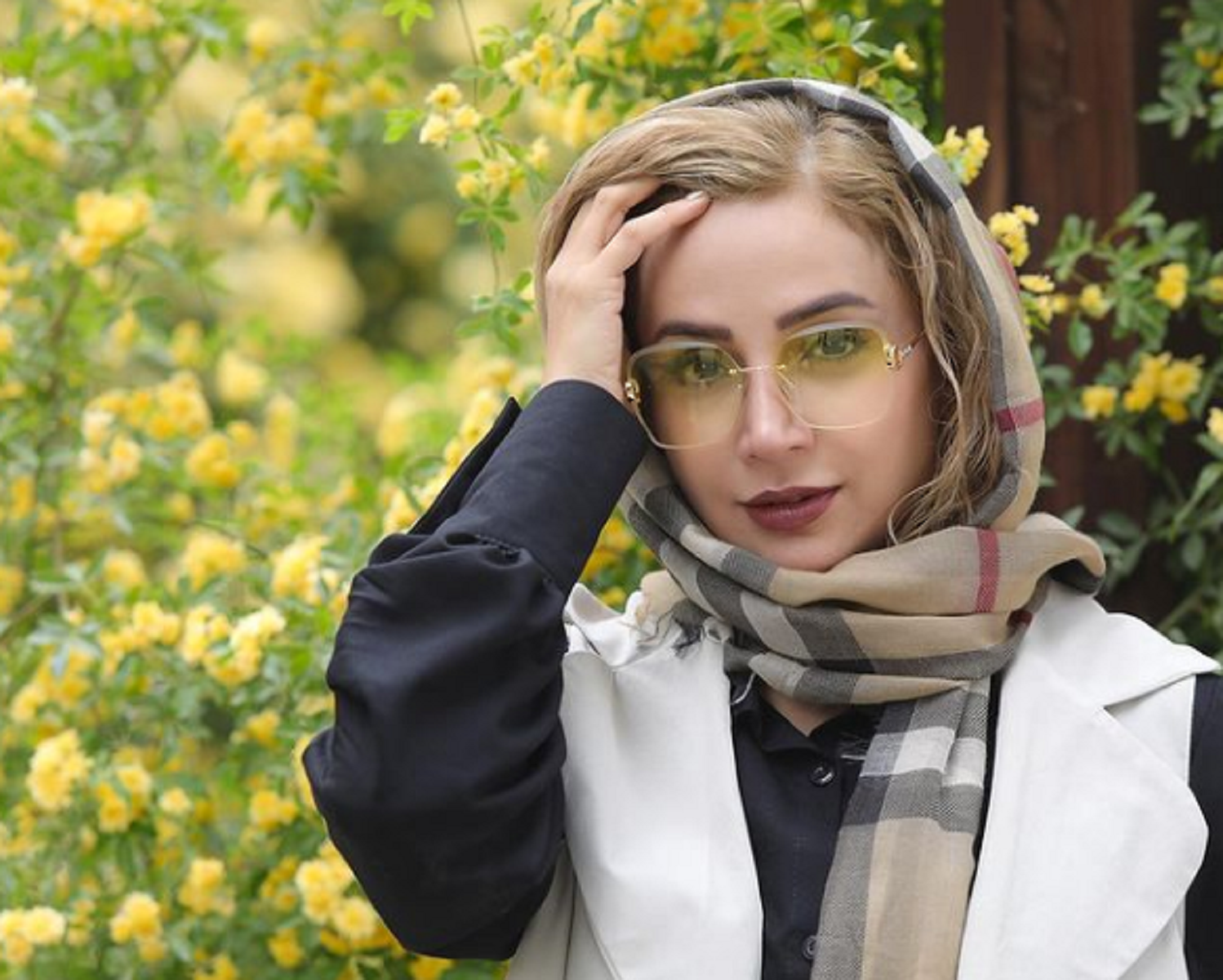 شبنم قلی خانی(بازیگر)
