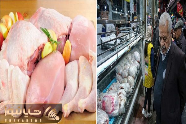 قیمت مرغ امروز یکشنبه ۶ اردیبهشت ۱۴۰۵ + جدول