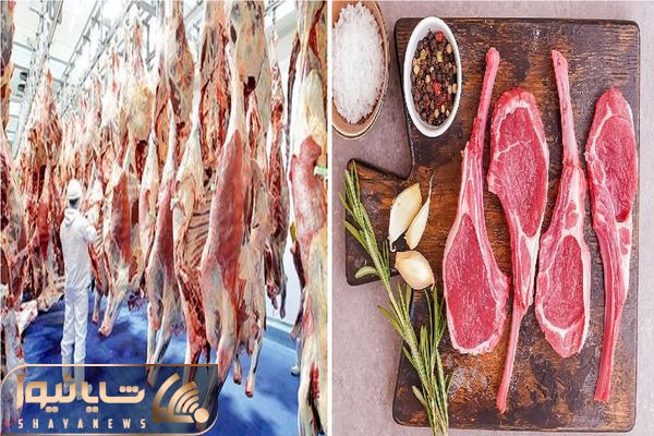 قیمت گوشت قرمز امروز ۱۷ اردیبهشت ۱۴۰۵