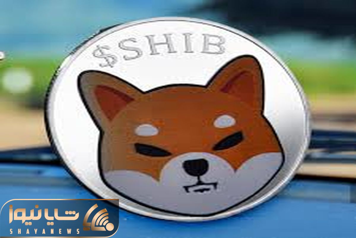shibainu