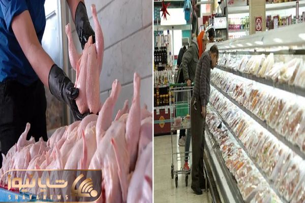 قیمت مرغ امروز سه‌شنبه ۱۵ اردیبهشت ۱۴۰۵ + جدول
